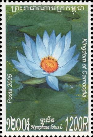 Colnect-3988-421-Nymphaea-Lotus-in-Color-Blue.jpg