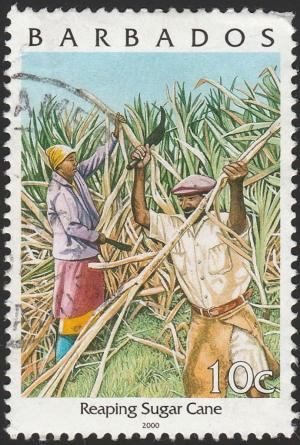 Colnect-4190-360-Reaping-sugar-cane.jpg