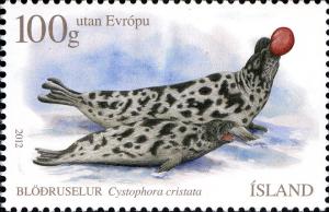 Colnect-5064-093-Hooded-Seal-Cystophora-cristata.jpg