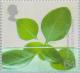 Colnect-123-381-Hydroponic-Leaves-Project-SUZY-Teeside.jpg