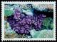 Colnect-902-350-Seabed-with-coral.jpg