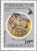 Colnect-804-384-Grant-s-Zebra-Equus-quagga-boehmi.jpg