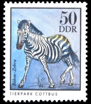 Colnect-1979-682-Grant--s-Zebra-Equus-quagga-boehmi-.jpg
