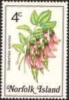 Colnect-2167-353-Streblorrhiza-speciosa---Philip-Island-wisteria.jpg