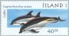Colnect-165-395-Atlantic-Whte-sided-Dolphin-Lagenorhynchus-acutus.jpg