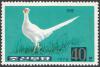 Colnect-3165-728-White-Ring-necked-Pheasant-Phasianus-colchicus.jpg