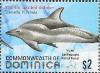 Colnect-3292-982-Atlantic-Spotted-Dolphin-Stenella-frontalis.jpg