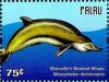 Colnect-4950-835-Blainville-s-Beaked-Whale-Mesoplodon-densirostris.jpg