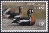 Colnect-7414-112-Red-Breasted-Goose-Branta-ruficollis.jpg