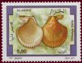 Colnect-1297-564-Variegated-Scallop-Chlamys-varia.jpg