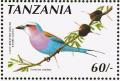 Colnect-1502-613-Lilac-brested-Roller-Coracias-caudata.jpg
