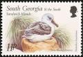 Colnect-4202-724-1999-Birds---Grey-headed-Albatross-Thalassarche-chrysostoma.jpg
