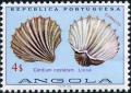 Colnect-6008-171-Great-Ribbed-Cockle-Cardium-costatum.jpg