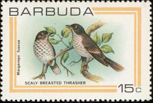 Colnect-1506-837-Scaly-breasted-Thrasher-Margarops-fuscus.jpg