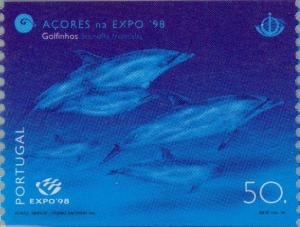 Colnect-187-396-Atlantic-Spotted-Dolphin-Stenella-frontalis.jpg
