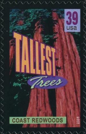 Colnect-202-583-Coast-redwoods-tallest-trees.jpg