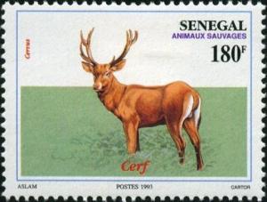 Colnect-2187-484-Red-Deer-Cervus-sp.jpg