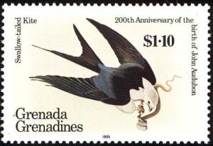 Colnect-2193-331-Swallow-tailed-Kite-Elanoides-forficatus.jpg