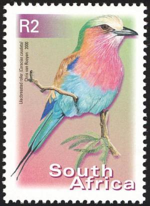 Colnect-2339-545-Lilac-brested-Roller-Coracias-caudata.jpg