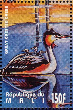 Colnect-2376-029-Great-Crested-Grebe-Podiceps-cristatus.jpg