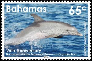Colnect-3228-857-Atlantic-Spotted-Dolphin-Stenella-frontalis.jpg