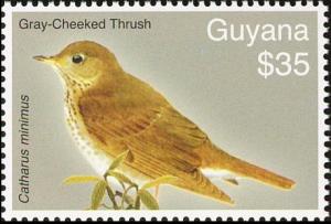 Colnect-3742-928-Grey-cheeked-Thrush-Catharus-minimus.jpg