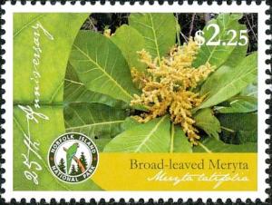 Colnect-3790-940-Broad-leaved-meryta-Meryta-latifolia.jpg