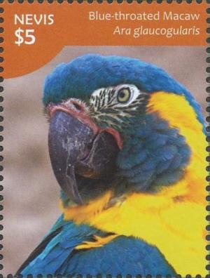 Colnect-4412-935-Blue-throated-Macaw-Ara-glaucogularis.jpg