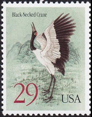 Colnect-5088-389-Black-necked-Crane-Grus-nigricollis.jpg