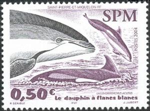 Colnect-847-807-Atlantic-white-sided-Dolphin-Lagenorhynchus-acutus.jpg