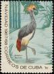 Colnect-2509-014-Black-Crowned-Crane-Balearica-pavonina.jpg