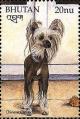 Colnect-3377-315-Chinese-Crested-Dog-Canis-lupus-familiaris.jpg