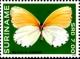 Colnect-3489-937-Common-Dotted-Border-Mylothis-rhodope.jpg