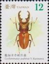 Colnect-3064-688-Red-Stag-Beetle-Cyclommatus-asahinai.jpg