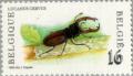 Colnect-187-125-Stag-Beetle-Lucanus-cervus.jpg
