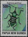 Colnect-3128-909-Ground-Beetle-Eupholus-geoffroyi.jpg