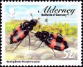 Colnect-5486-743-Burying-Beetles-Nicrophorus-genus-.jpg