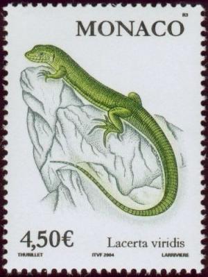 Colnect-1098-208-European-Green-Lizard-Lacerta-viridis.jpg