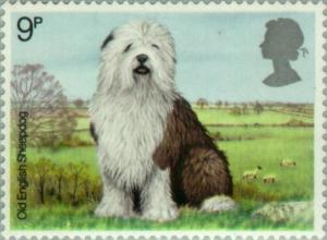 Colnect-122-108-Old-English-Sheepdog-Canis-lupus-familiaris.jpg
