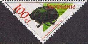 Colnect-1271-881-Scarab-Beetle-Phanaeus-festivus.jpg