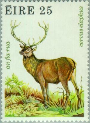 Colnect-128-606-Red-Deer-Cervus-elaphus-.jpg