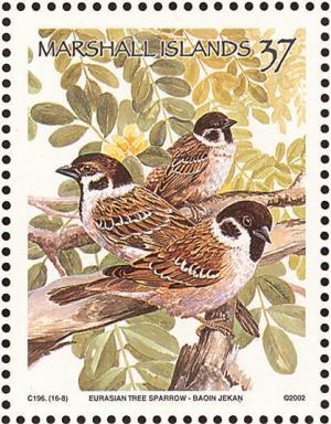 Colnect-1599-560-Eurasian-Tree-Sparrow-Passer-montanus.jpg