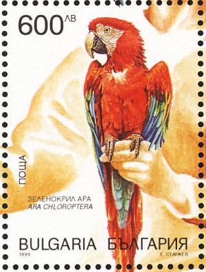Colnect-1780-735-Red-and-green-Macaw-Ara-chloroptera.jpg