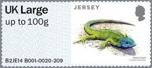 Colnect-2519-572-European-Green-Lizard-Lacerta-viridis.jpg