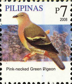 Colnect-2875-017-Pink-necked-Green-Pigeon-nbsp-Treron-vernans.jpg