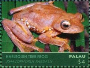 Colnect-4992-726-Harlequin-Tree-Frog-Rhacophorus-pardalis.jpg