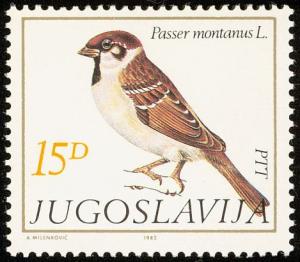 Colnect-763-597-Eurasian-Tree-Sparrow-Passer-montanus.jpg