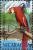 Colnect-4566-593-Red-and-green-Macaw-Ara-chloropterus.jpg
