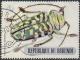 Colnect-1010-680-Longhorn-Beetle-Sternotomis-bohemani.jpg