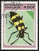 Colnect-2075-024-Blister-Beetle-Mylabris-variabilis.jpg
